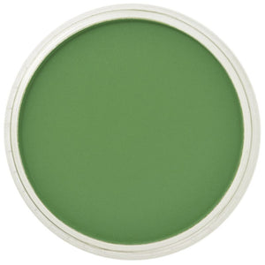 PanPastel - Chromium Oxide Green 660.5