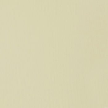 Liquitex Heavy Body Acrylic - 2 oz. tube - Parchment