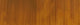 Winsor & Newton Winton Oil Colour - 37 ml tube - Azo Brown