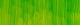 Winsor & Newton Winton Oil Colour - 37 ml tube - Phthalo Yellow Green