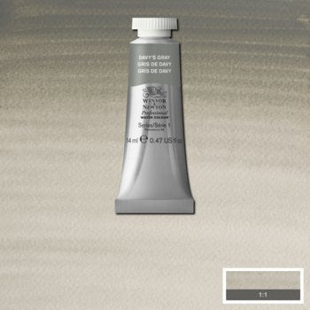 Winsor & Newton Professional Watercolour - 14 ml tube - Davy's Gray