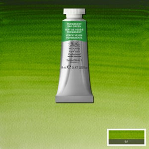 Winsor & Newton Professional Watercolour - 14 ml tube - Permanent Sap Green