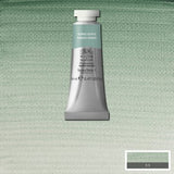 Winsor & Newton Professional Watercolour - 14 ml tube - Terre Verte