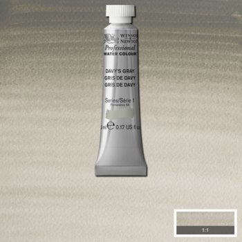 Winsor & Newton Professional Watercolour - 5 ml tube - Davy's Gray