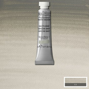 Winsor & Newton Professional Watercolour - 5 ml tube - Davy's Gray