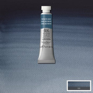 Winsor & Newton Professional Watercolour - 5 ml tube - Payne's Gray