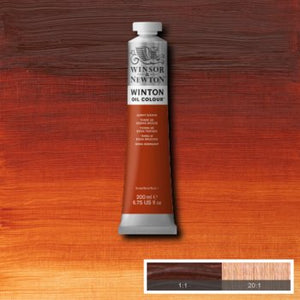 Winsor & Newton Winton Oil Colour - 200 ml tube - Burnt Sienna
