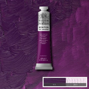 Winsor & Newton Winton Oil Colour - 200 ml tube - Cobalt Violet Hue