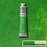 Winsor & Newton Winton Oil Colour - 200 ml tube - Permanent Green Light