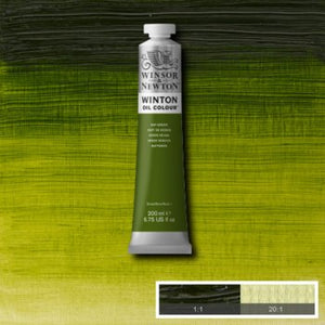 Winsor & Newton Winton Oil Colour - 200 ml tube - Sap Green