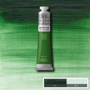 Winsor & Newton Winton Oil Colour - 200 ml tube - Terre Verte