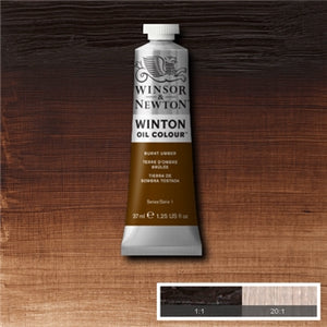 Winsor & Newton Winton Oil Colour - 37 ml tube - Burnt Umber