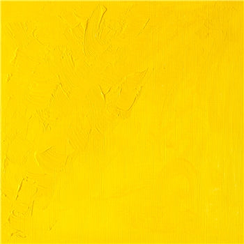 Winsor & Newton Winton Oil Colour - 37 ml tube - Cadmium Yellow Light
