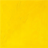 Winsor & Newton Winton Oil Colour - 37 ml tube - Cadmium Yellow Light