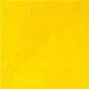 Winsor & Newton Winton Oil Colour - 37 ml tube - Cadmium Yellow Light