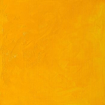 Winsor & Newton Winton Oil Colour - 37 ml tube - Cadmium Yellow Medium