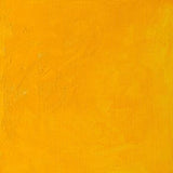 Winsor & Newton Winton Oil Colour - 37 ml tube - Cadmium Yellow Medium