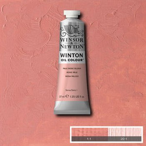 Winsor & Newton Winton Oil Colour - 37 ml tube - Pale Rose Blush