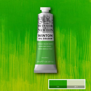 Winsor & Newton Winton Oil Colour - 37 ml tube - Phthalo Yellow Green