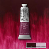 Winsor & Newton Winton Oil Colour - 37 ml tube - Quinacridone Deep Pink