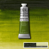 Winsor & Newton Winton Oil Colour - 37 ml tube - Sap Green
