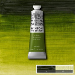 Winsor & Newton Winton Oil Colour - 37 ml tube - Sap Green