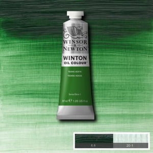 Winsor & Newton Winton Oil Colour - 37 ml tube - Terre Verte