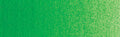 Winsor & Newton Artists' Oil Colour - 37 ml tube - Permanent Green Light