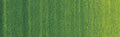 Winsor & Newton Artists' Oil Colour - 37 ml tube - Sap Green