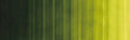 Holbein Heavy Body Artist Acrylic - 2 oz. tube - Sap Green