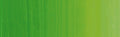 Holbein Heavy Body Artist Acrylic - 2 oz. tube - Middle Green