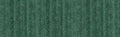 Holbein Heavy Body Artist Acrylic - 2 oz. tube - Pearl Green