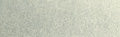 Winsor & Newton Professional Watercolour - 5 ml tube - Davy's Gray