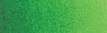 Winsor & Newton Professional Watercolour - 5 ml tube - Hooker's Green