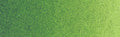 Winsor & Newton Professional Watercolour - 14 ml tube - Permanent Sap Green