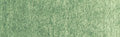 Winsor & Newton Professional Watercolour - 14 ml tube - Terre Verte
