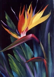 Bob Ross Floral Painting Packet Bird of Paradise