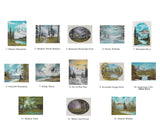 Bob Ross Joy Of Painting Book - Volume 14