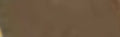 Sennelier Extra Soft Pastel - Bronze Green Light - 161