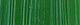 Holbein DUO Aqua Oil - 40 ml tube - Cadmium Green Hue