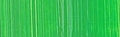 Holbein DUO Aqua Oil - 40 ml tube - Cadmium Green Light