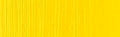 Holbein DUO Aqua Oil - 40 ml tube - Cadmium Yellow