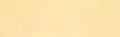 Sennelier Extra Soft Pastel - Cadmium Yellow Deep - 613