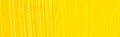 Holbein DUO Aqua Oil - 40 ml tube - Cadmium Yellow Light Hue