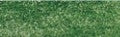 Derwent Studio Colour Pencil - Cedar Green