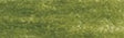 Derwent Studio Colour Pencil - Olive Green