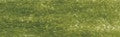 Derwent Studio Colour Pencil - Olive Green