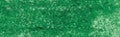 Derwent Studio Colour Pencil - Sap Green