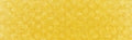 PanPastel - Diarylide Yellow Shade 250.3