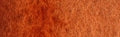 Daniel Smith Extra Fine Watercolour - 15 ml tube - Burgundy Red Ochre